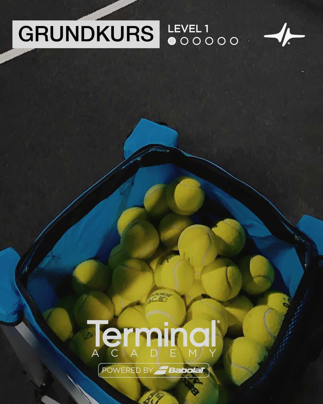 Grundkurs Anfänger Level 1 (4 Wochen)